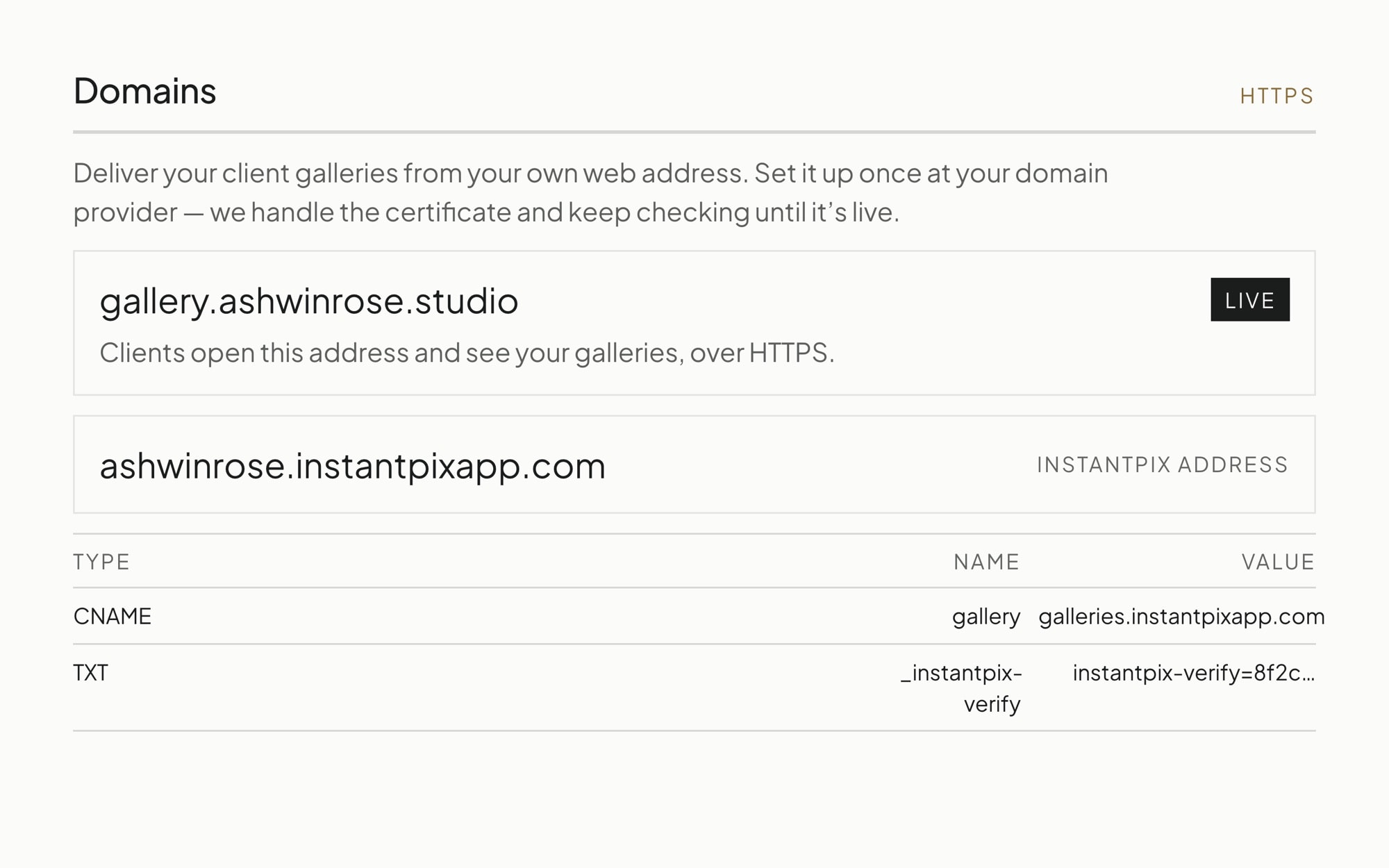 The studio domains screen, showing a live gallery address and the two DNS records behind it