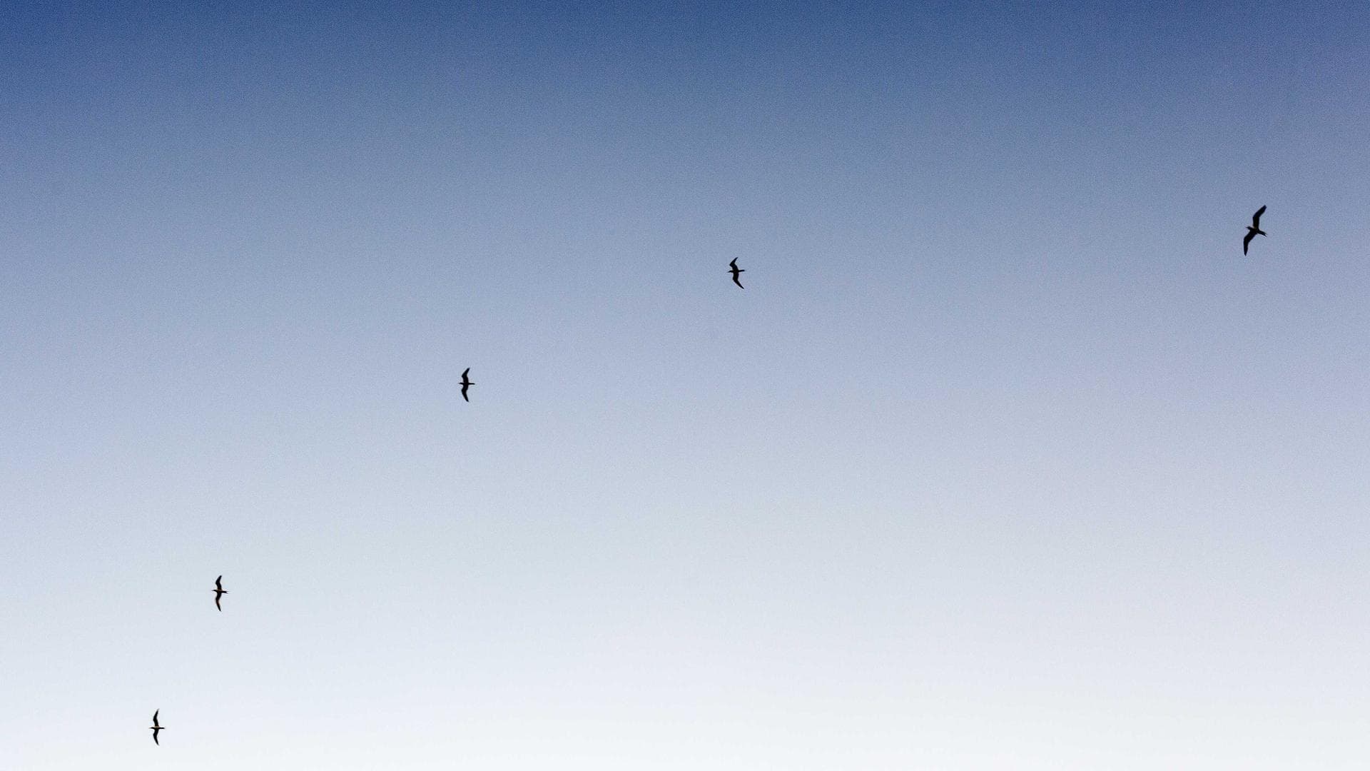 Nikhil Das Photography