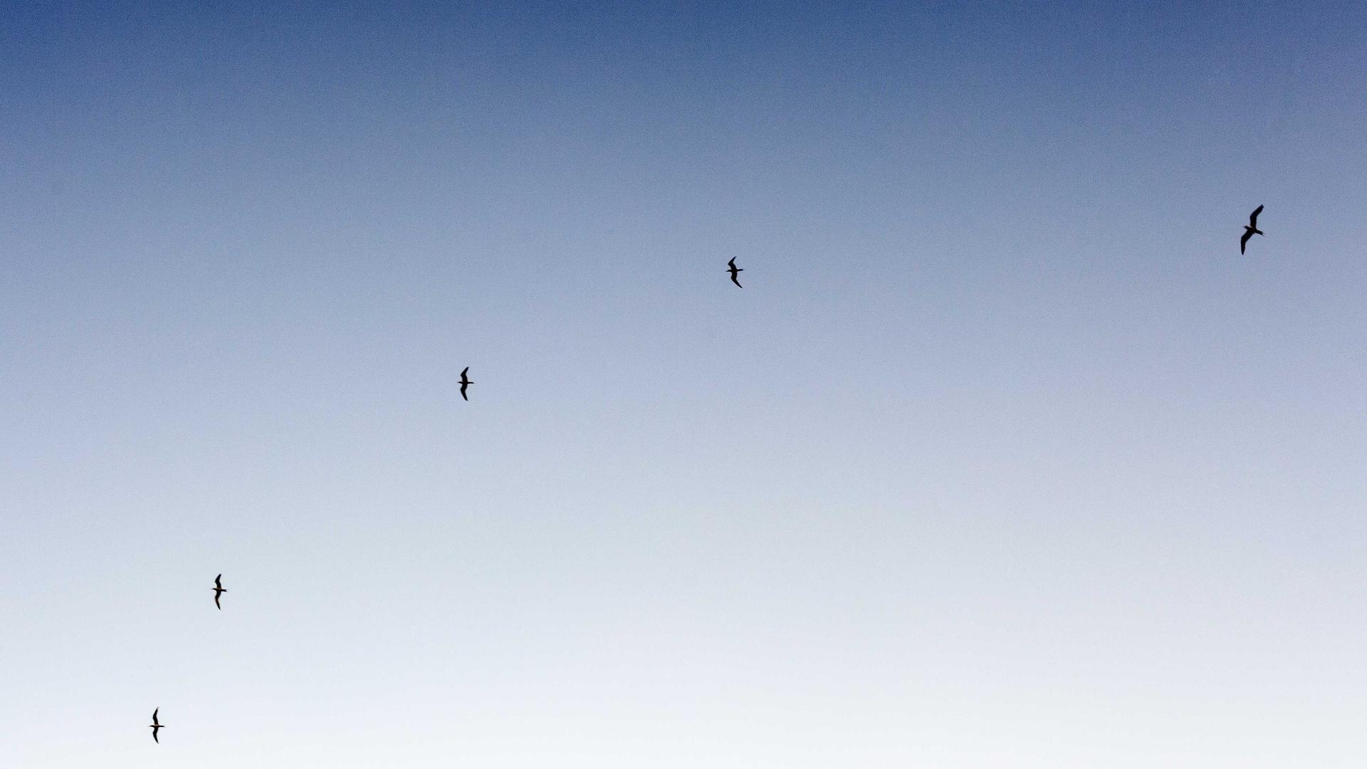 Nikhil Das Photography — photograph